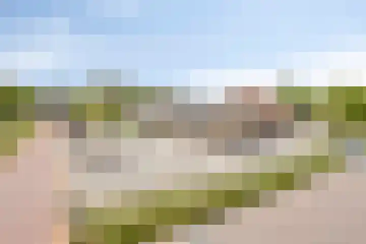 Jel Rinckesstrjitte 5 Tzummarum thumbnail 25