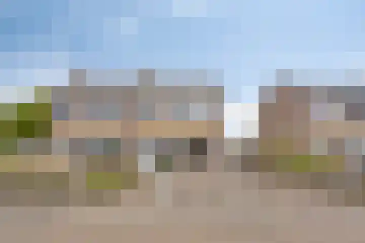 Jel Rinckesstrjitte 5 Tzummarum thumbnail 5