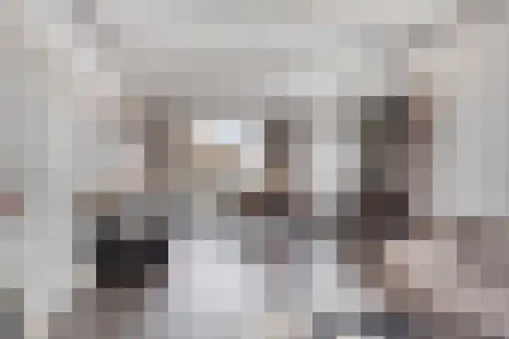 Jel Rinckesstrjitte 5 Tzummarum thumbnail 8