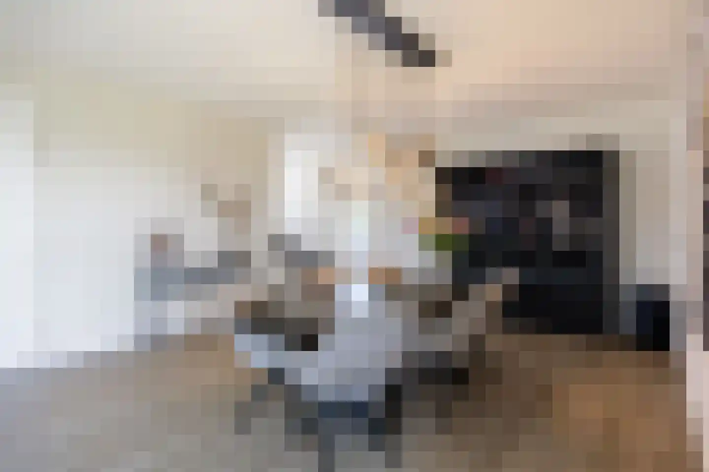 Jeldingaheerd 18 Schildwolde thumbnail 26