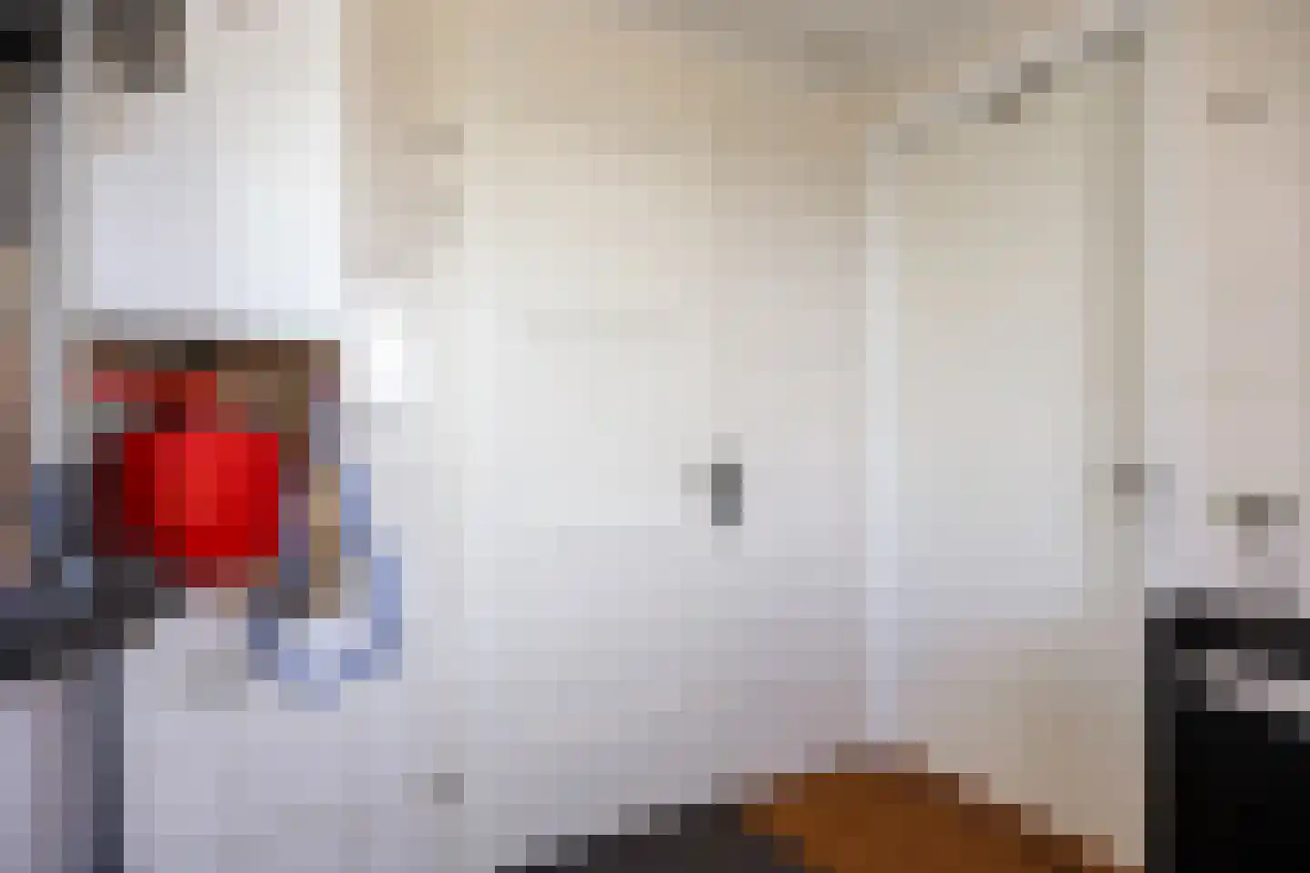 Jeldingaheerd 18 Schildwolde thumbnail 36
