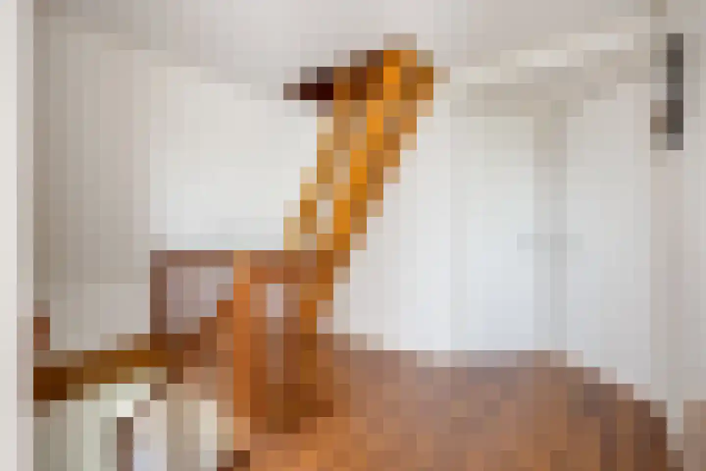 Jeldingaheerd 18 Schildwolde thumbnail 38