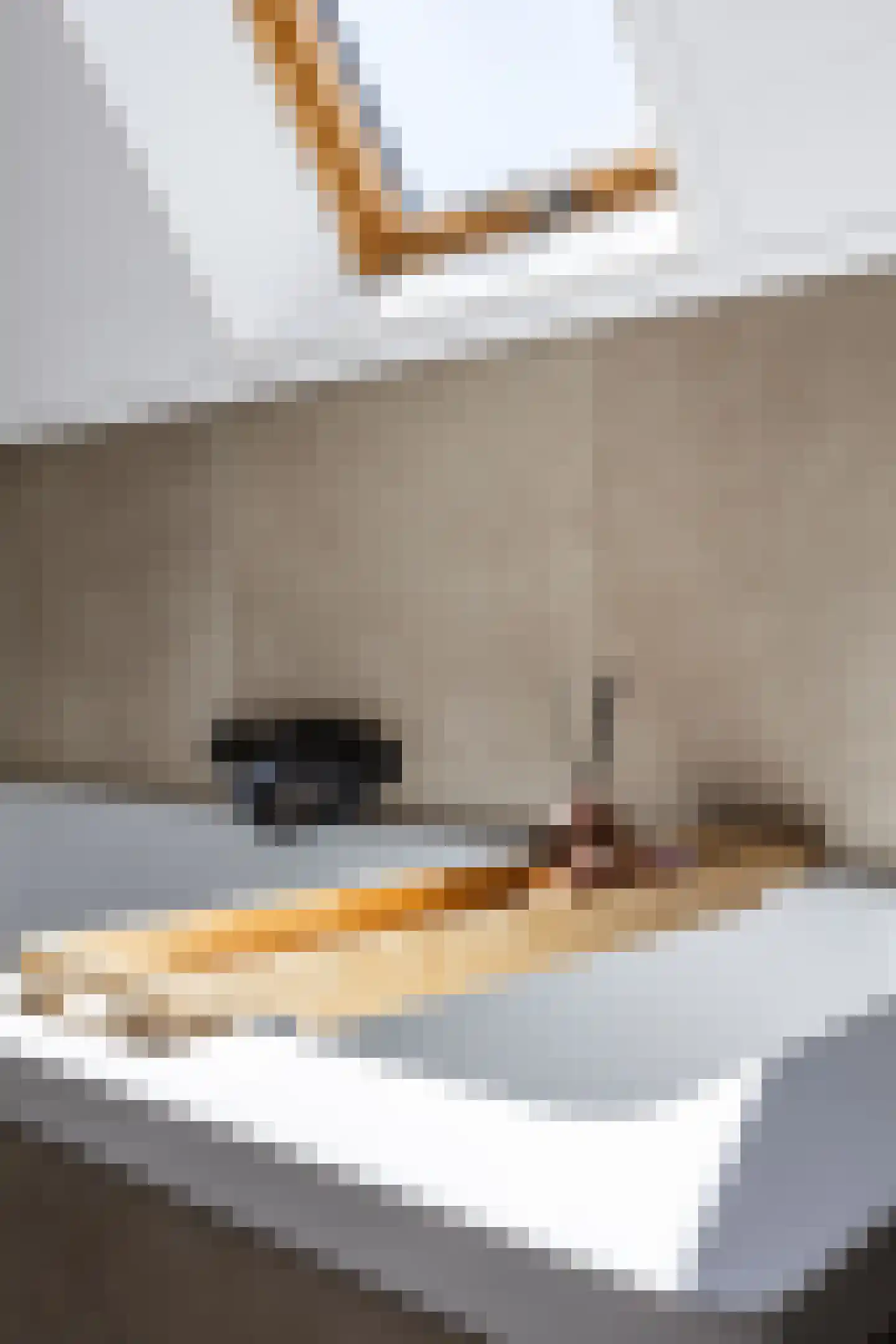 Jeldingaheerd 18 Schildwolde thumbnail 51