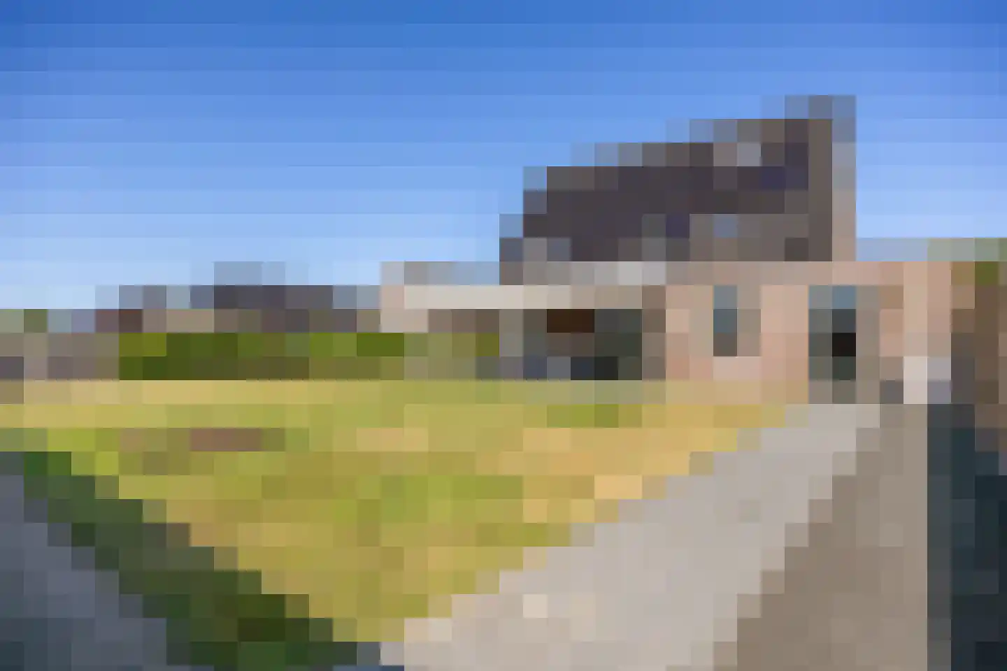 Jeldingaheerd 18 Schildwolde thumbnail 61