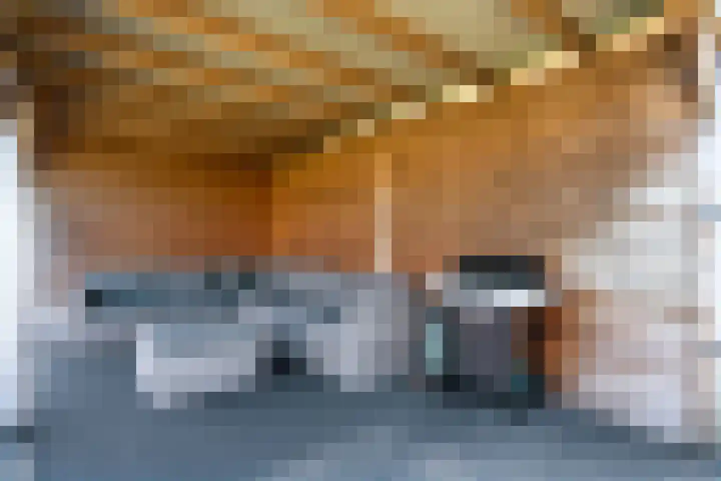 Jeldingaheerd 18 Schildwolde thumbnail 64