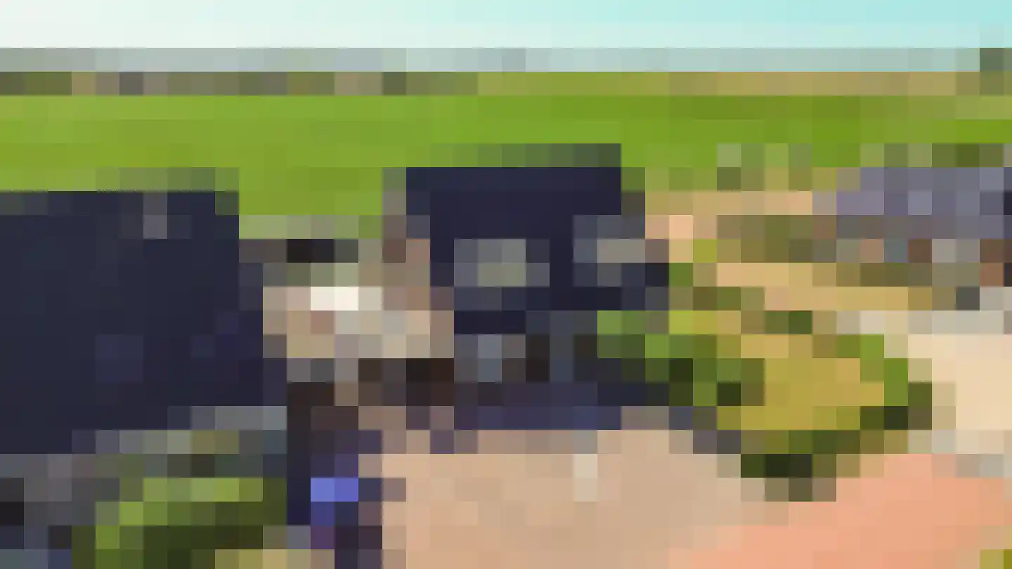Jeldingaheerd 18 Schildwolde thumbnail 70