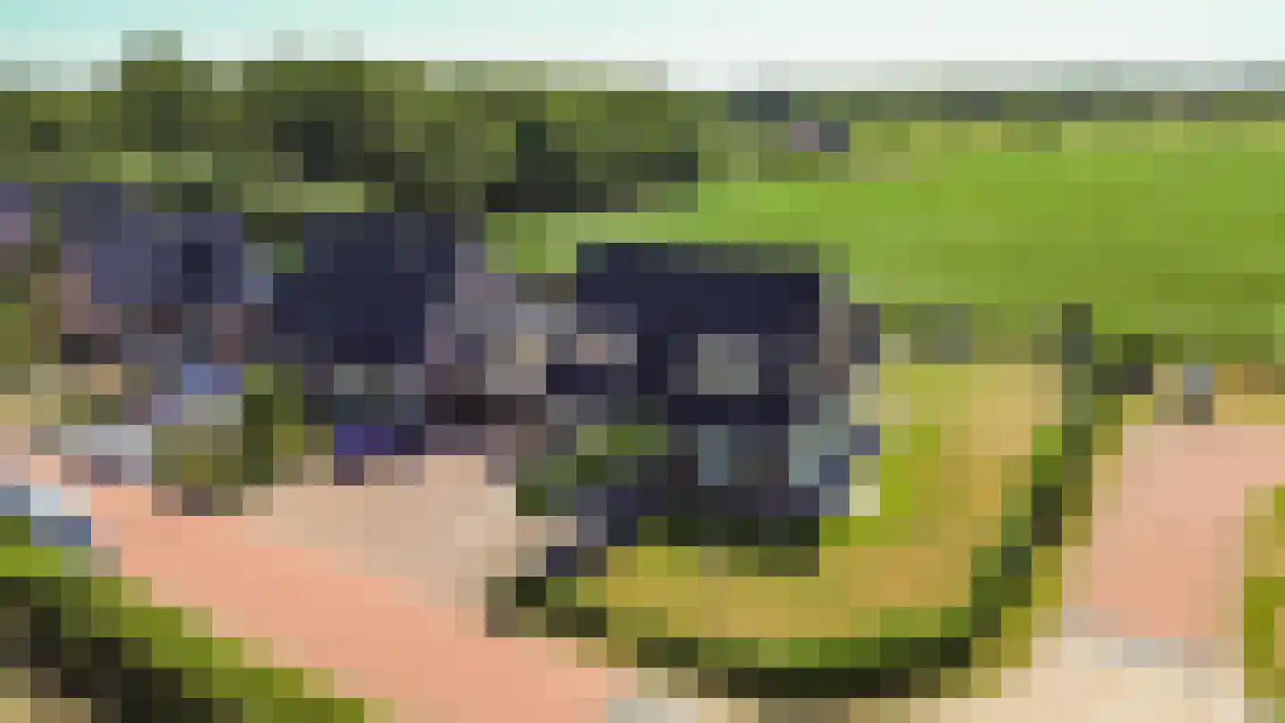 Jeldingaheerd 18 Schildwolde thumbnail 71