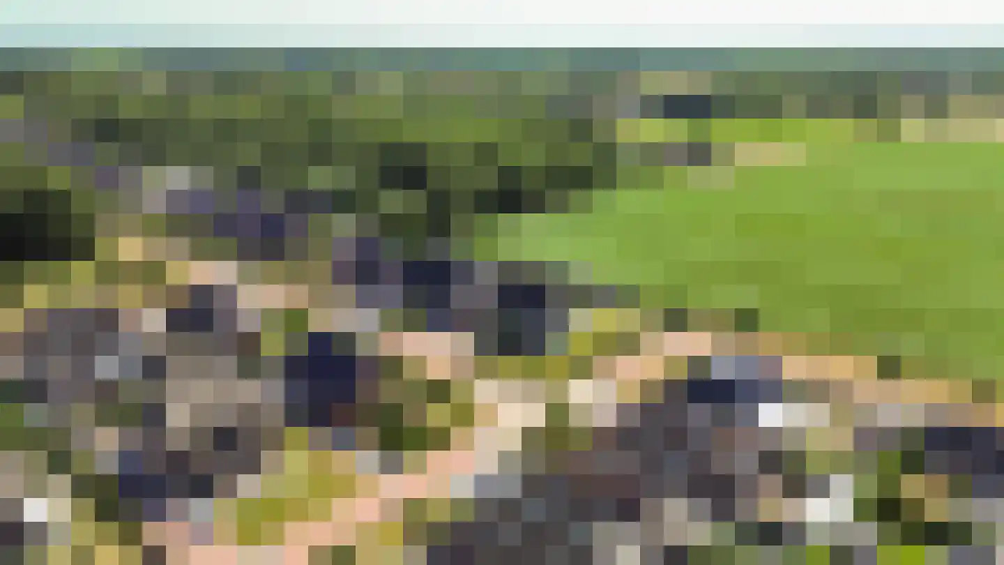 Jeldingaheerd 18 Schildwolde thumbnail 72