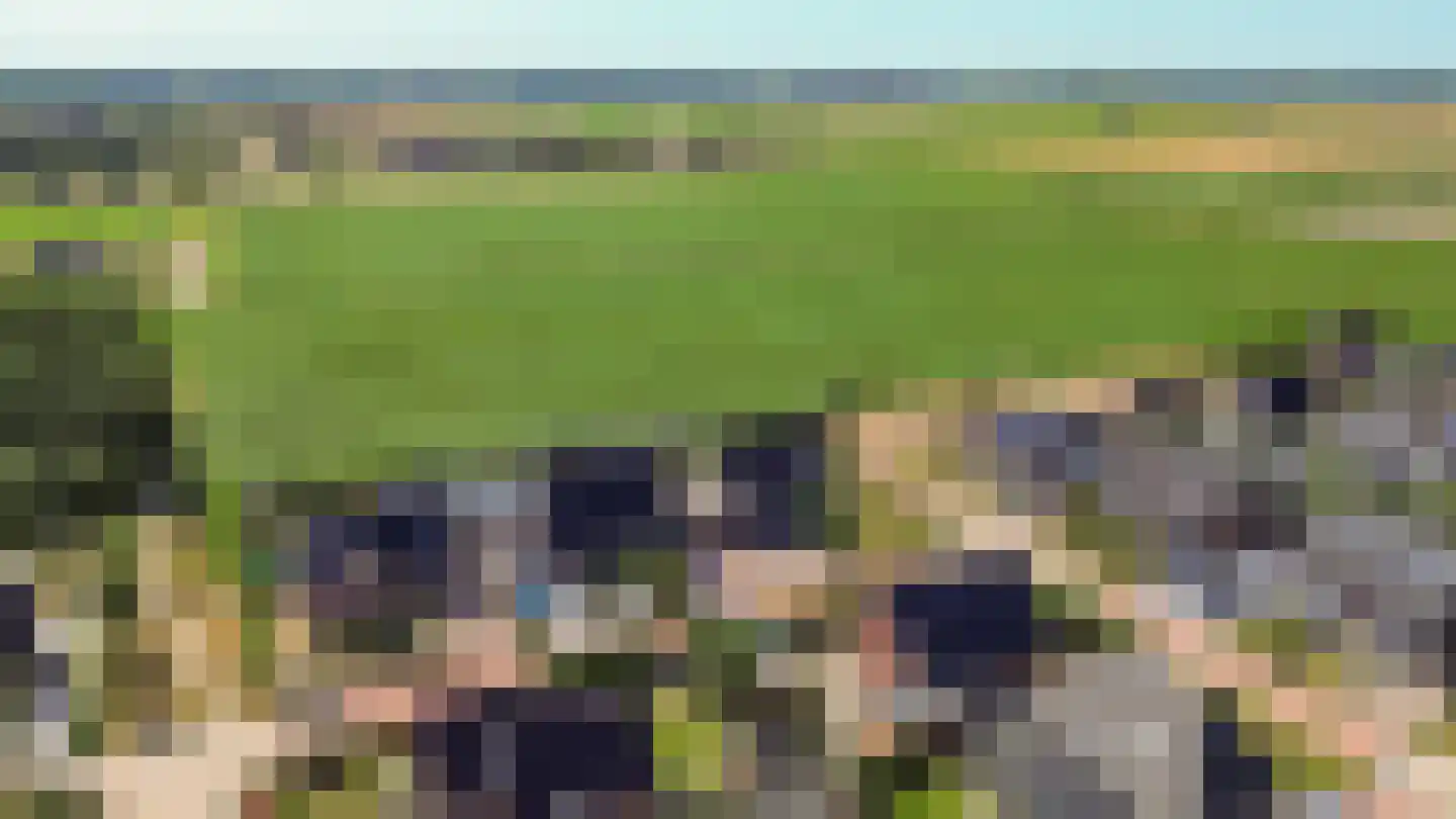 Jeldingaheerd 18 Schildwolde thumbnail 73