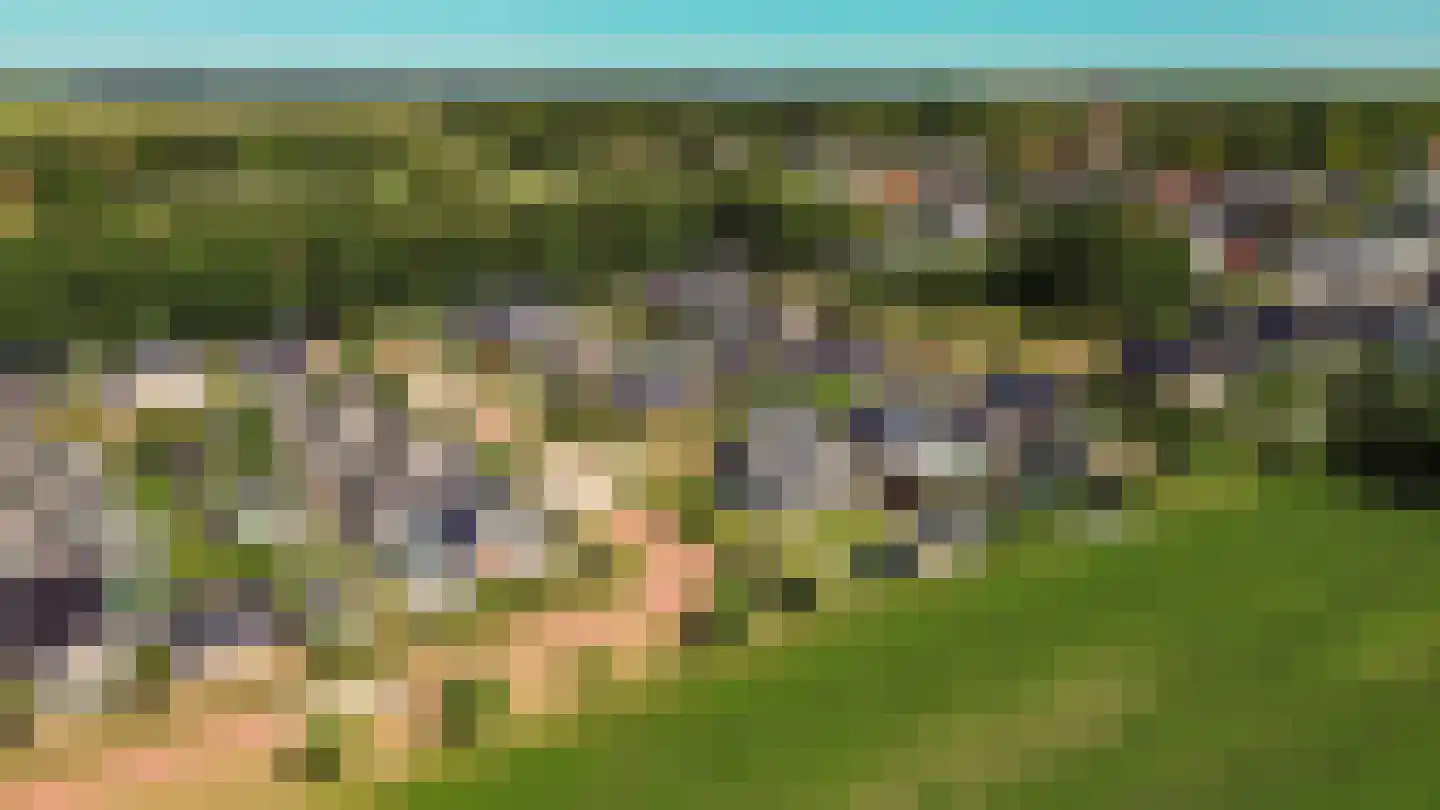 Jeldingaheerd 18 Schildwolde thumbnail 74