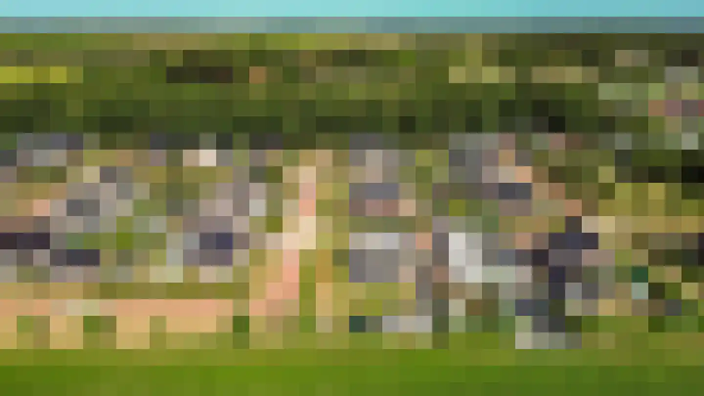 Jeldingaheerd 18 Schildwolde thumbnail 75