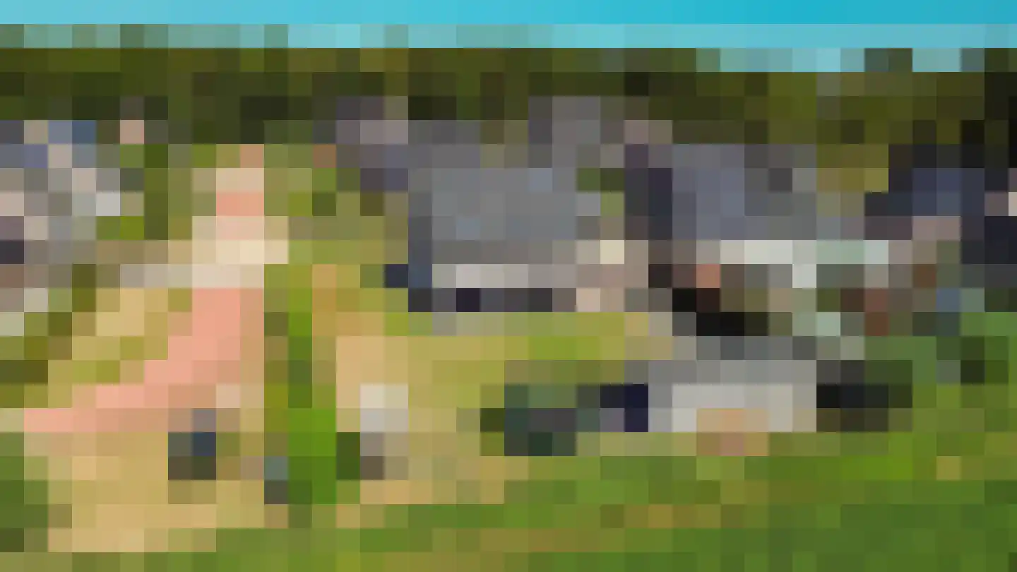 Jeldingaheerd 18 Schildwolde thumbnail 77