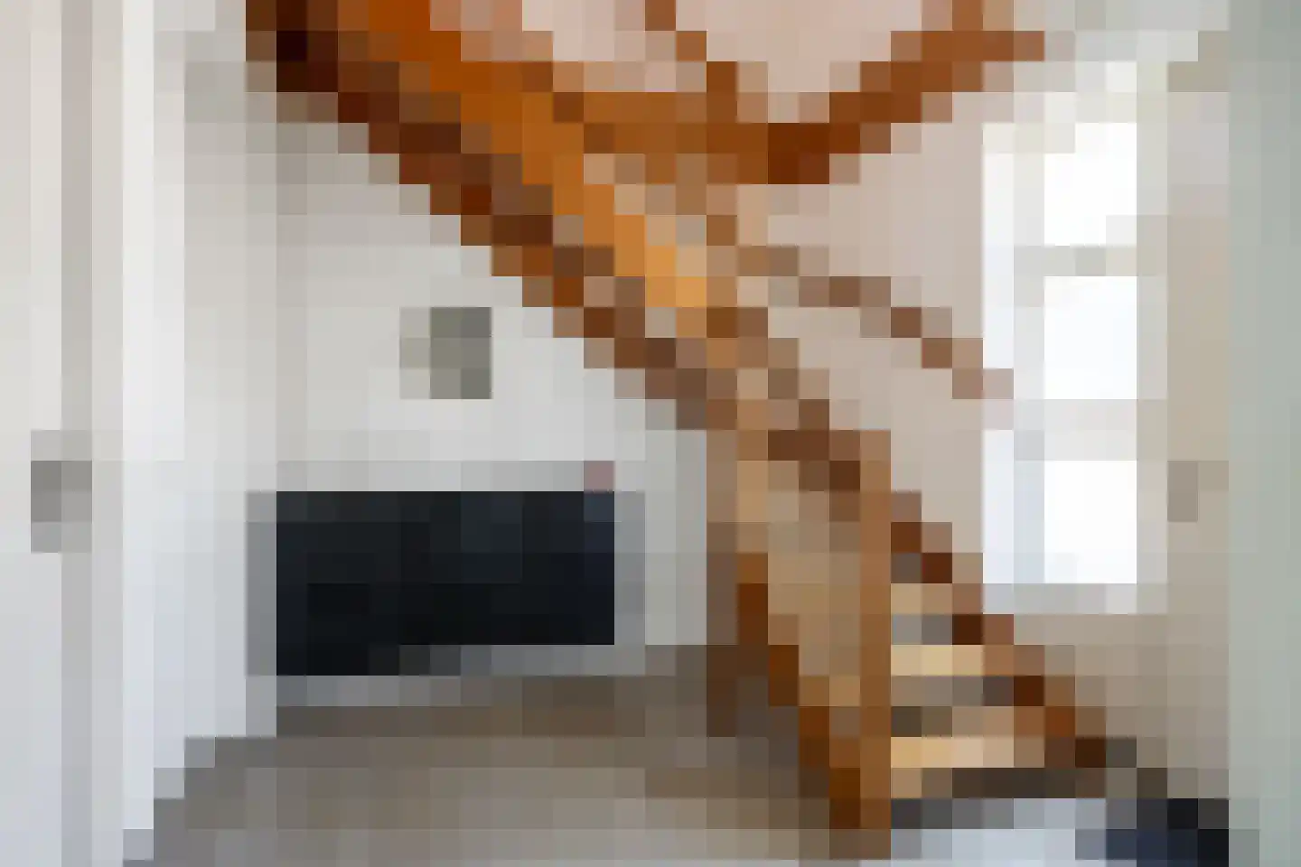 Jeldingaheerd 18 Schildwolde thumbnail 9