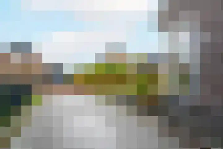 Jeldingaheerd 25 Schildwolde thumbnail 12