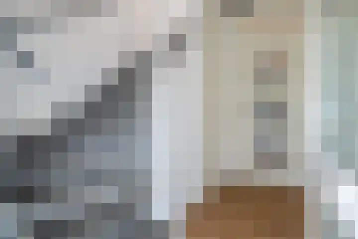 Jeldingaheerd 25 Schildwolde thumbnail 15