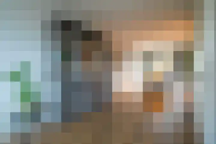 Jeldingaheerd 25 Schildwolde thumbnail 22