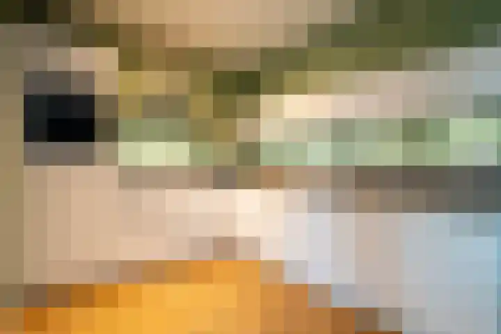 Jeldingaheerd 25 Schildwolde thumbnail 28