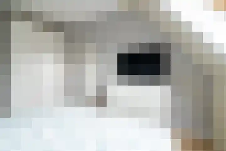 Jeldingaheerd 25 Schildwolde thumbnail 37