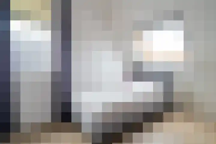 Jeldingaheerd 25 Schildwolde thumbnail 39