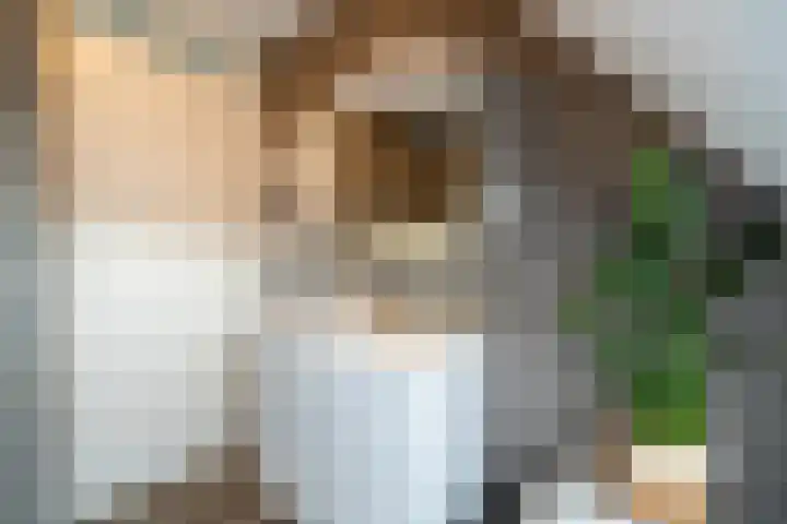 Jeldingaheerd 25 Schildwolde thumbnail 44