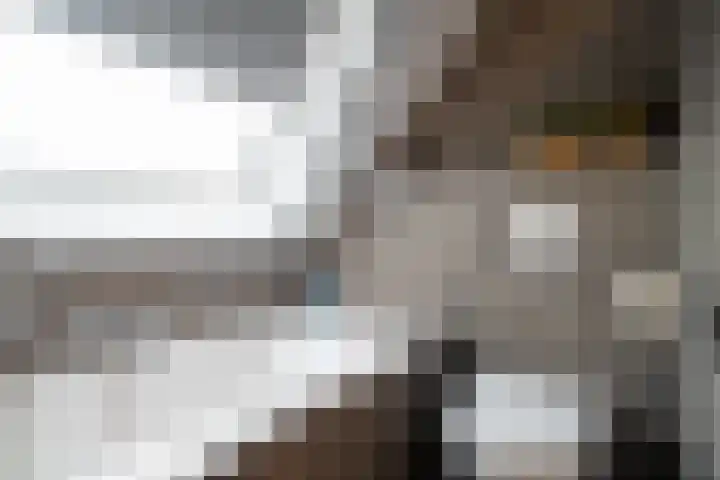 Jeldingaheerd 25 Schildwolde thumbnail 45