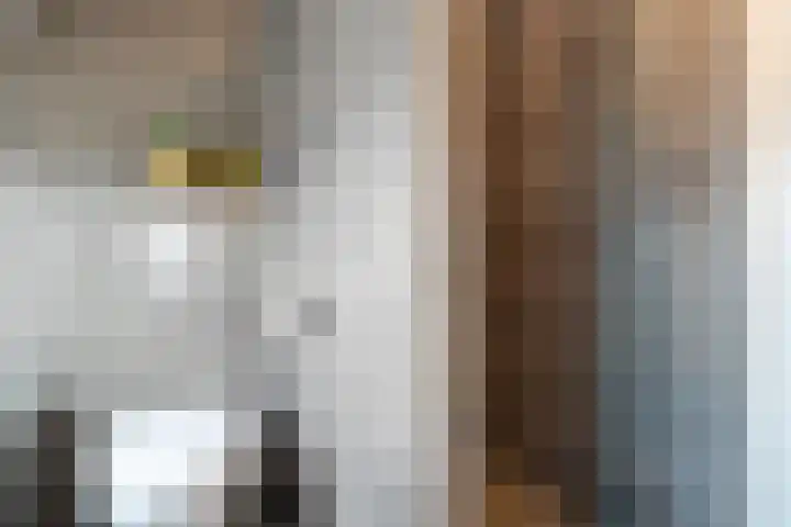 Jeldingaheerd 25 Schildwolde thumbnail 46