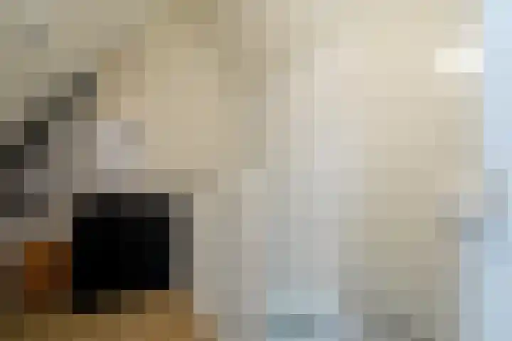 Jeldingaheerd 25 Schildwolde thumbnail 49