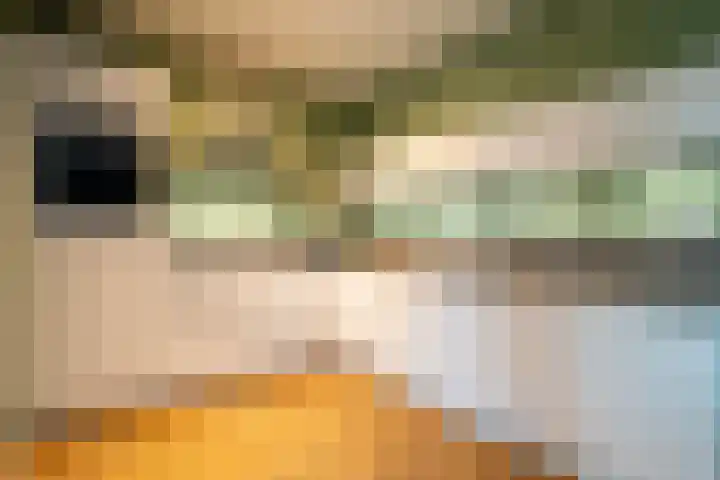 Jeldingaheerd 25 Schildwolde thumbnail 5