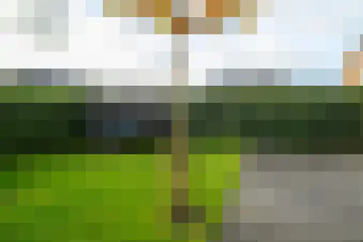 Jeldingaheerd 25 Schildwolde thumbnail 57