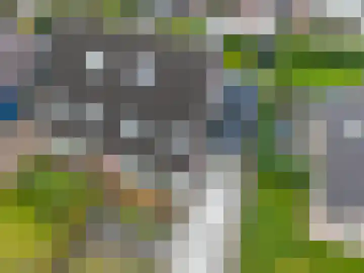 Jeldingaheerd 25 Schildwolde thumbnail 59