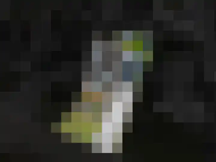 Jeldingaheerd 25 Schildwolde thumbnail 60