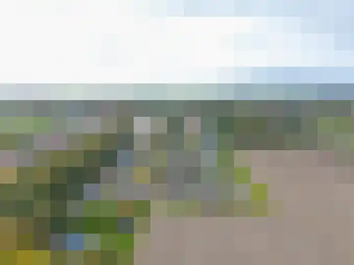 Jeldingaheerd 25 Schildwolde thumbnail 61