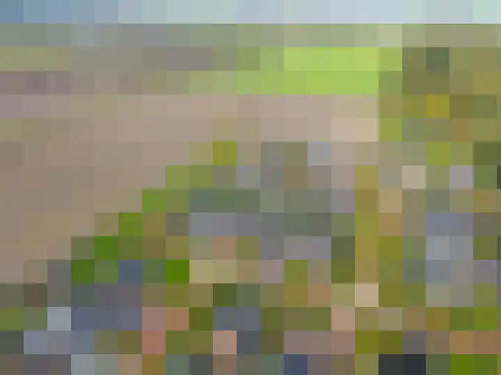 Jeldingaheerd 25 Schildwolde thumbnail 62