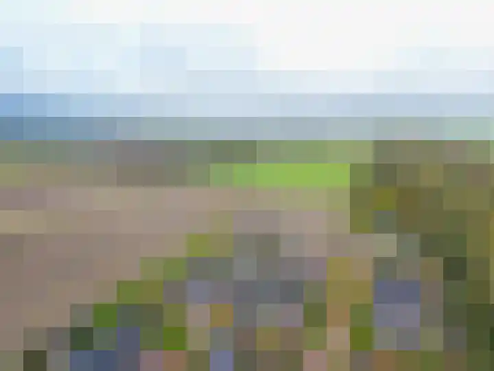 Jeldingaheerd 25 Schildwolde thumbnail 63