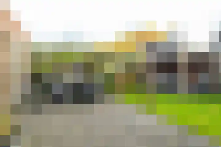 Jeldingaheerd 25 Schildwolde thumbnail 7