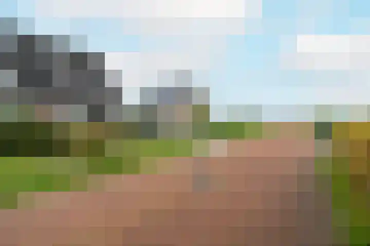Jeldingaheerd 25 Schildwolde thumbnail 9