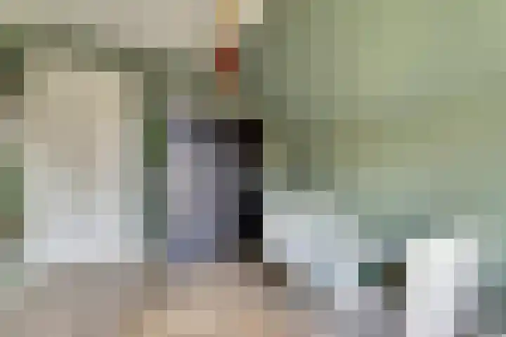 Jeldingaheerd 44 Schildwolde thumbnail 27
