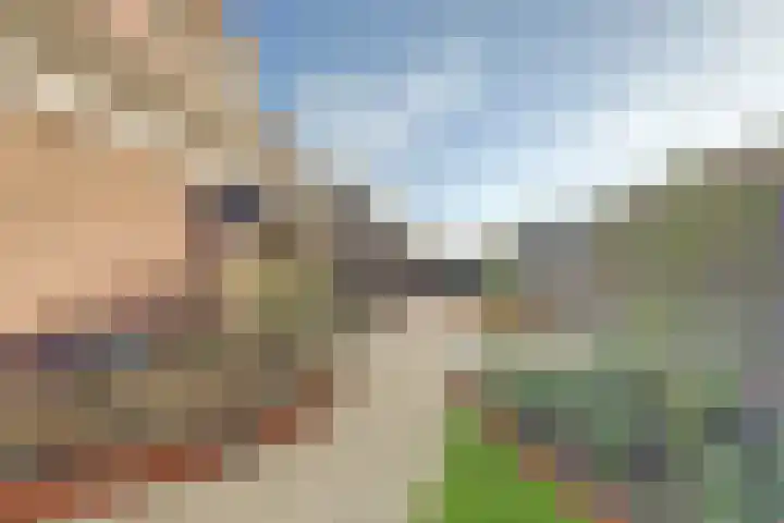 Jeldingaheerd 44 Schildwolde thumbnail 42