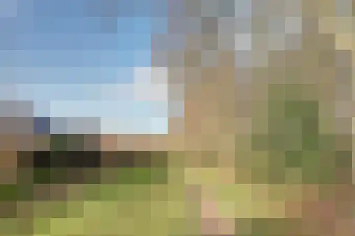 Jeldingaheerd 44 Schildwolde thumbnail 45