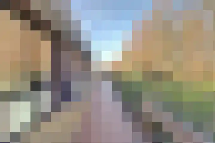 Jeldingaheerd 44 Schildwolde thumbnail 46