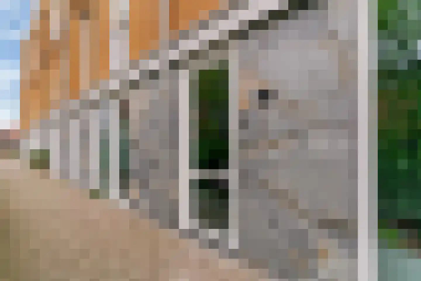 Jelena Bonnerpad 5 Leiden thumbnail 4