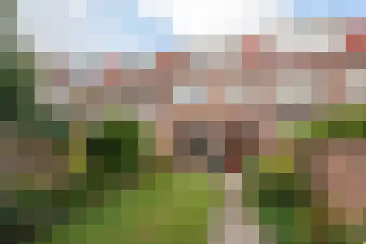 Jelgersmastraat 11 Haarlem thumbnail 12