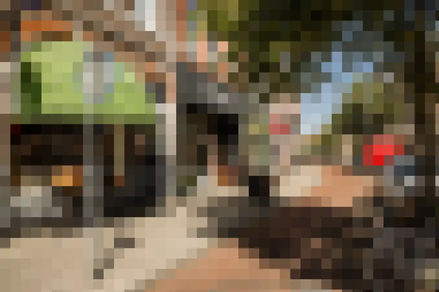 Jelgersmastraat 37 Haarlem thumbnail 56