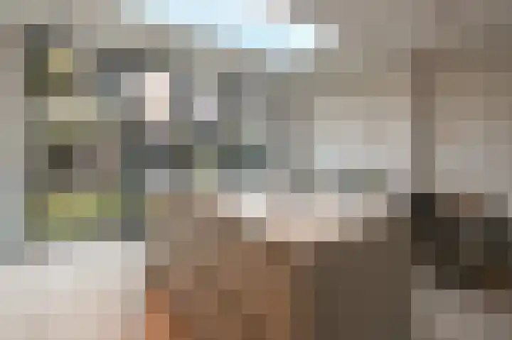 Jelgersmastraat 7 Haarlem thumbnail 8