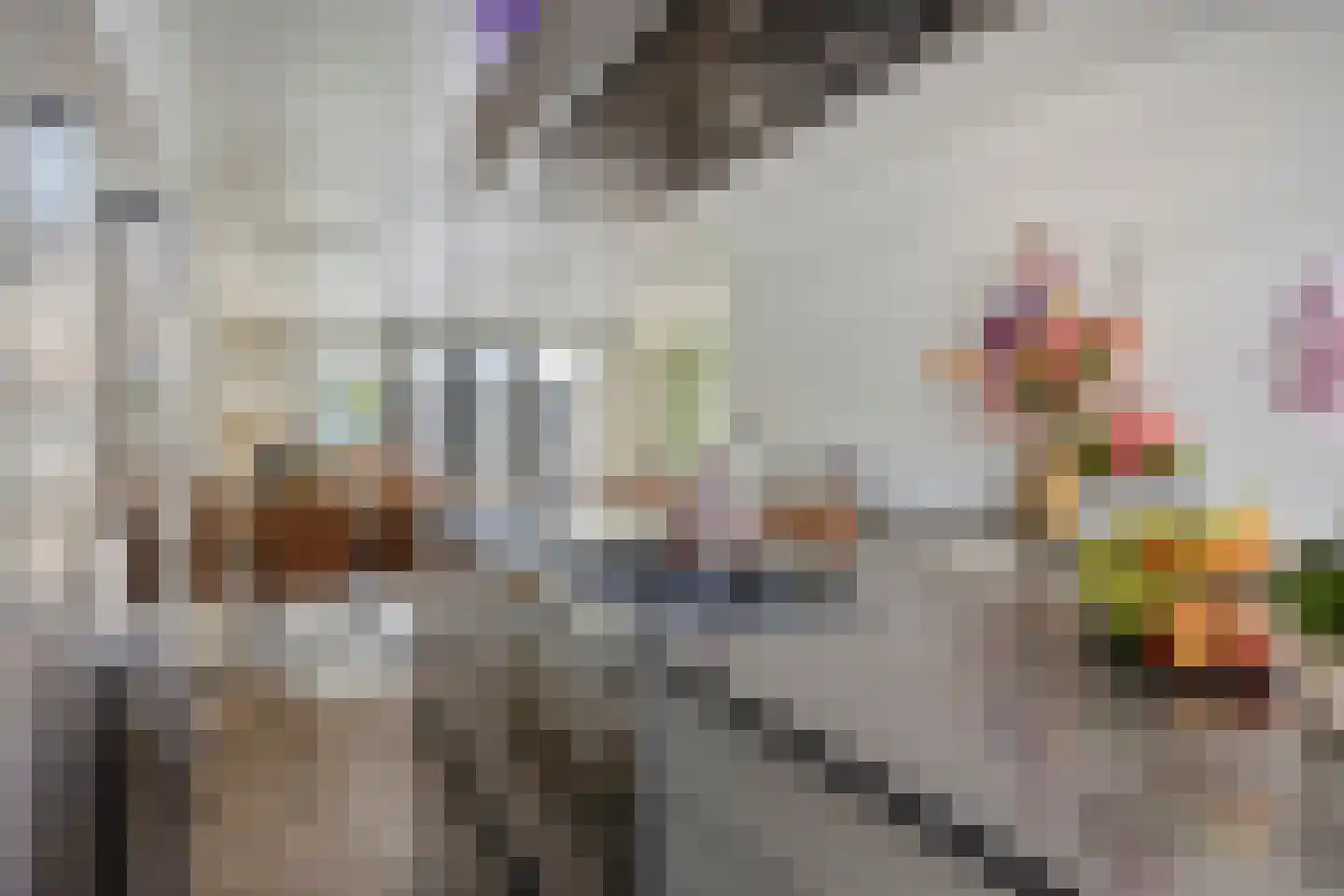 Jelis van Riemsdijklaan 8 Tiel thumbnail 10