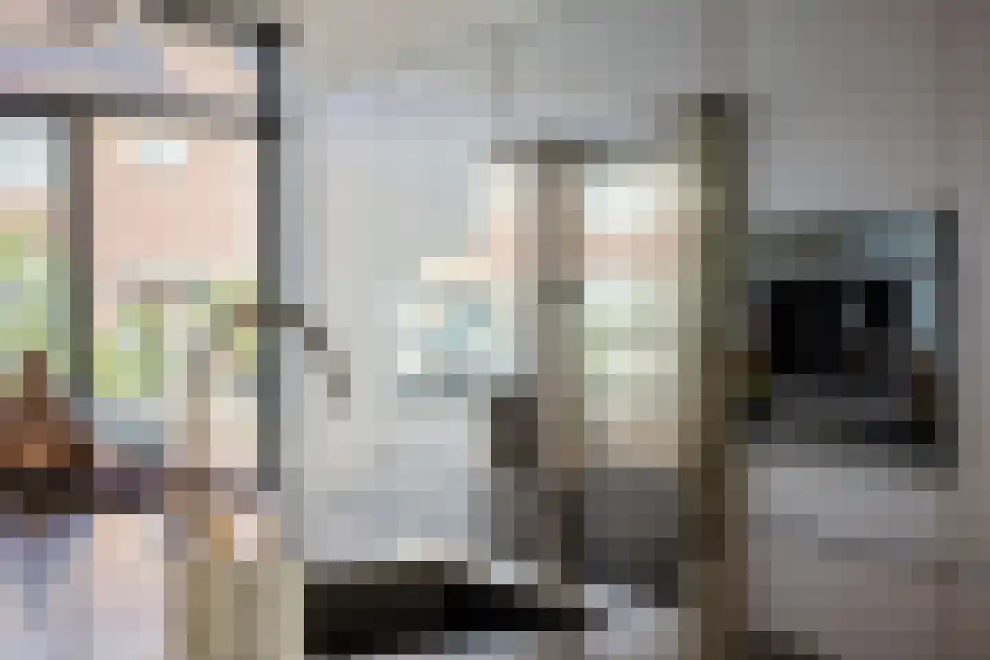 Jelis van Riemsdijklaan 8 Tiel thumbnail 11