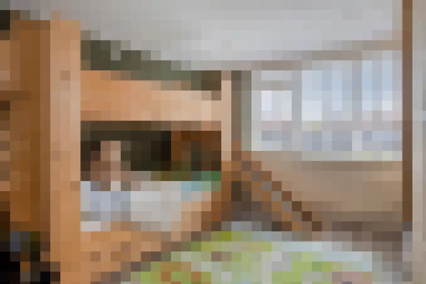 Jelis van Riemsdijklaan 8 Tiel thumbnail 14