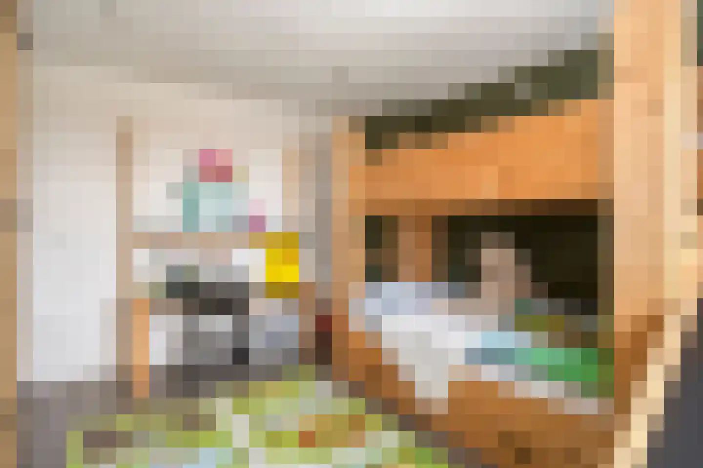 Jelis van Riemsdijklaan 8 Tiel thumbnail 15