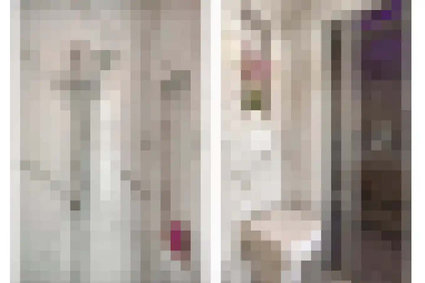 Jelis van Riemsdijklaan 8 Tiel thumbnail 18