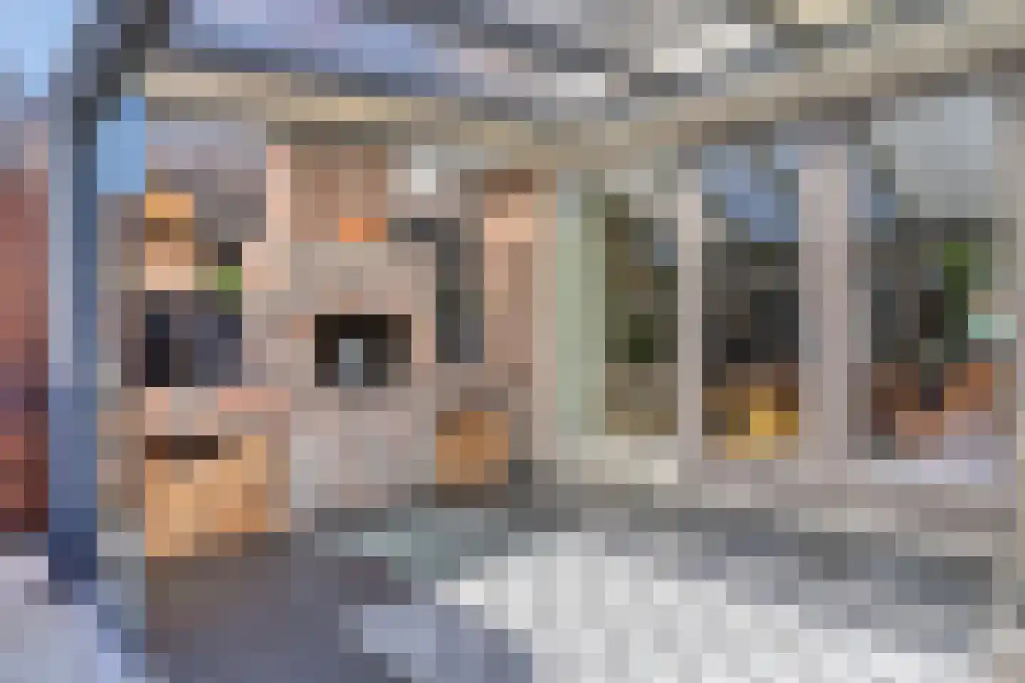 Jelis van Riemsdijklaan 8 Tiel thumbnail 29